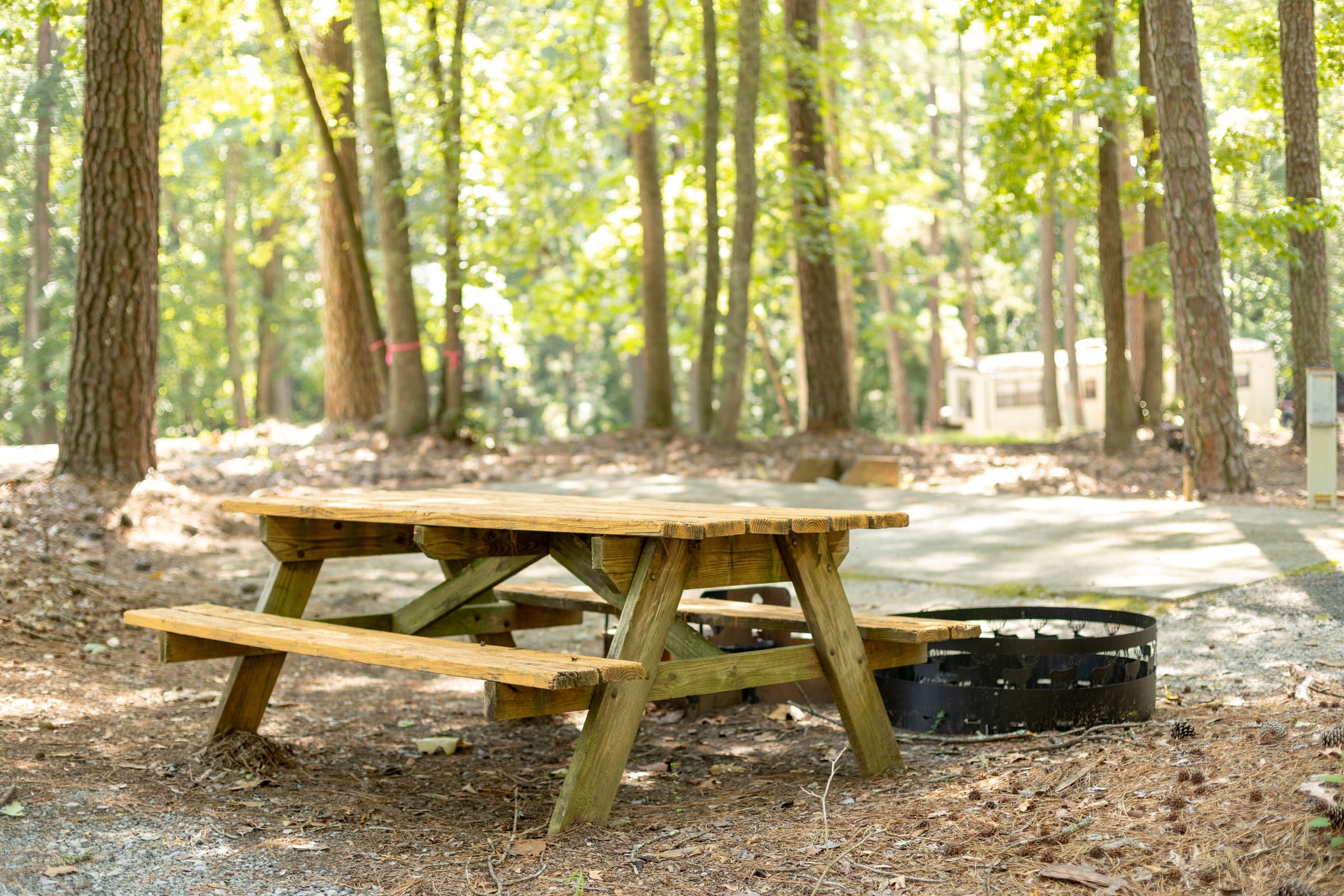 Fresh-lumber picnic table and fire ring at a shaded site