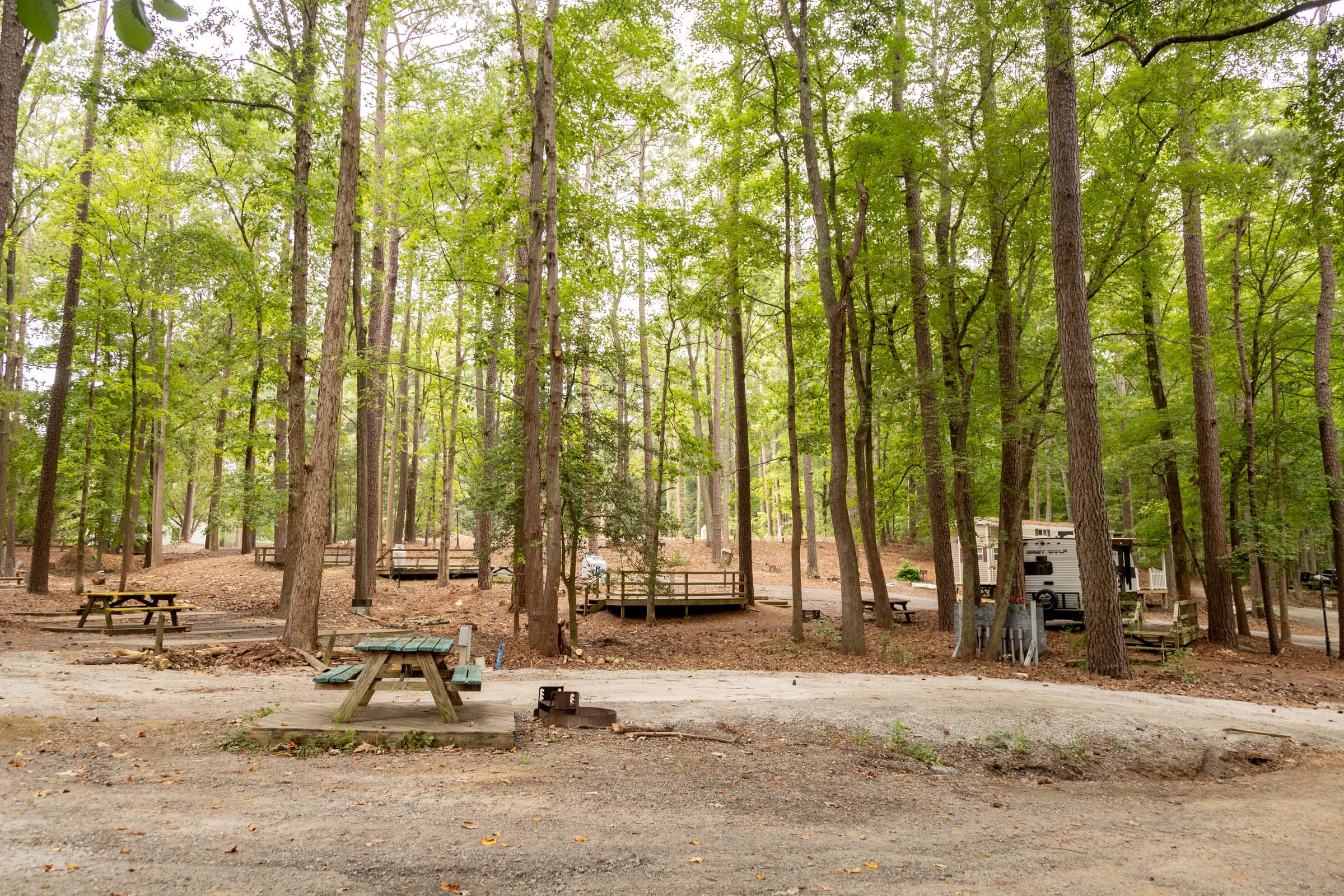 Wooded camping loop with picnic tables and parked rigs