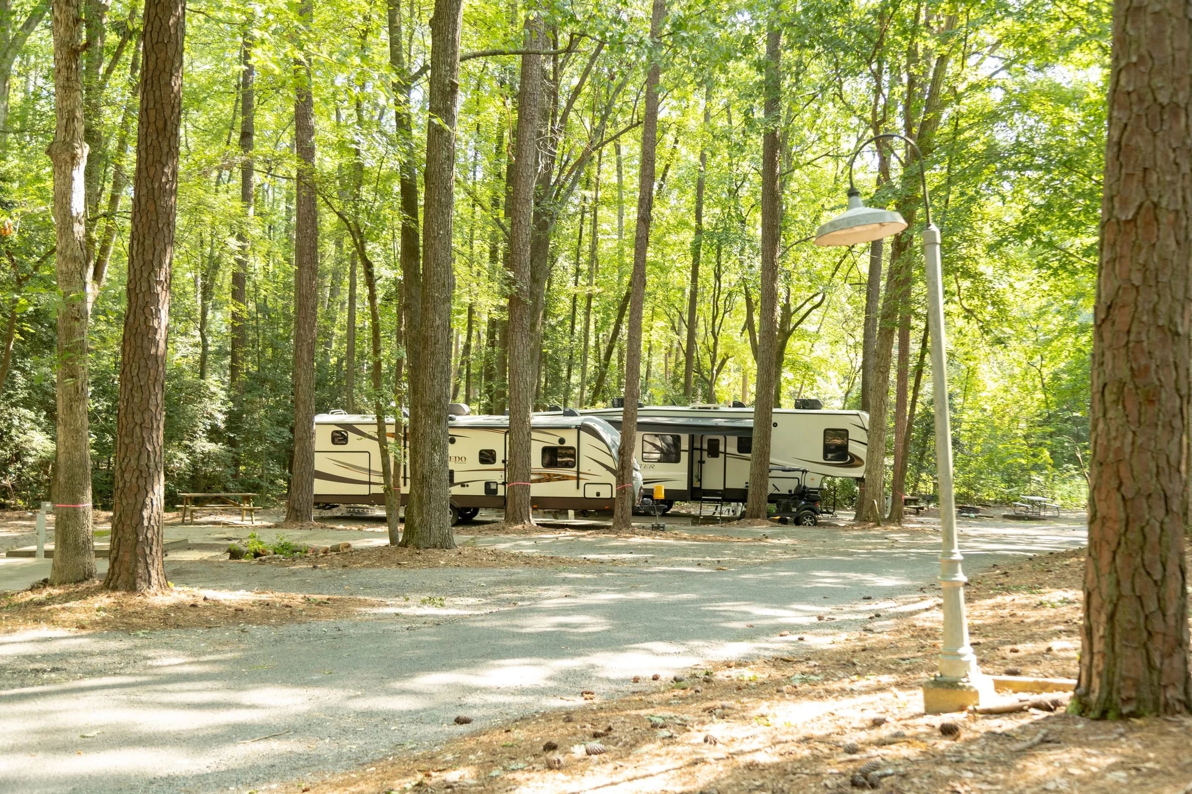 Campground lane past parked fifth-wheels under tall hardwoods